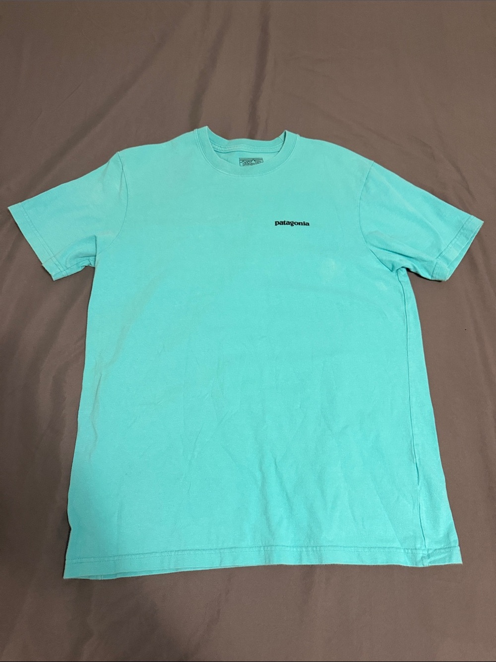 Patagonia Short Sleeve Tee
